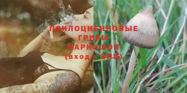 ешки Семикаракорск
