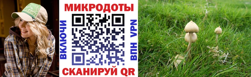 darknet телеграм  Советск  Псилоцибиновые грибы мухоморы 
