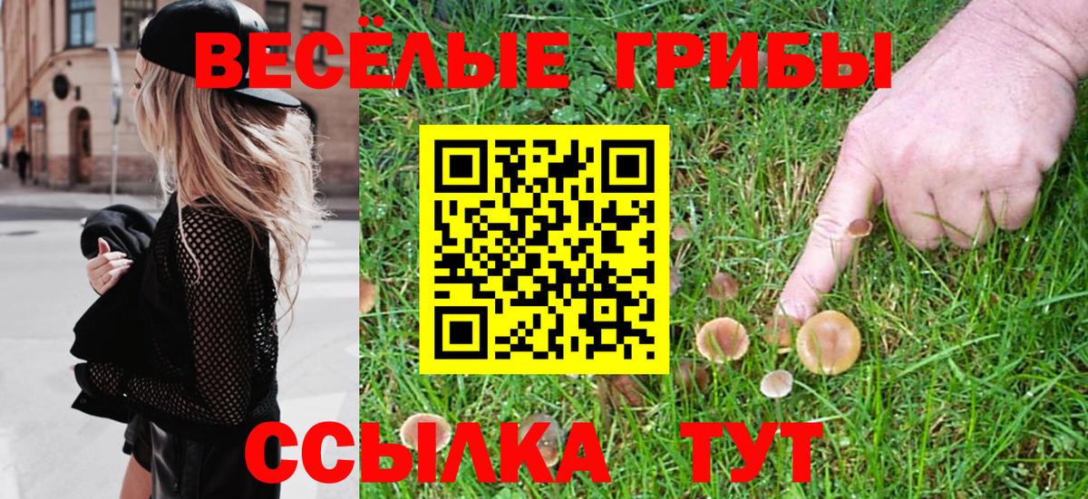 Псилоцибиновые грибы Psilocybine cubensis Советск